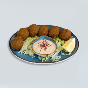 Falafel Plate